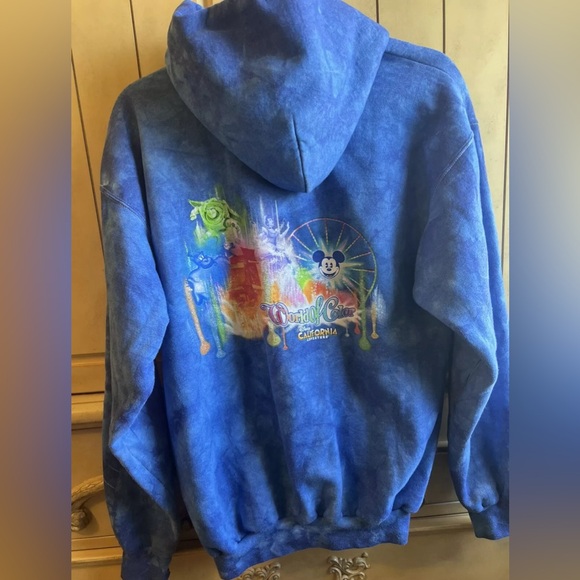 Disneyland Walt Disney World by Hanes World of Color zip up sweatshirt M - Picture 2 of 6